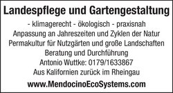 Anzeige