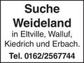 Anzeige