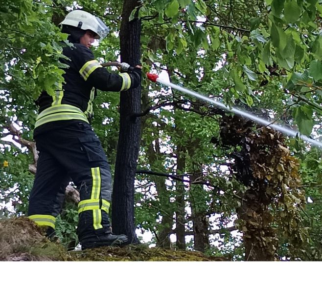 Durch das schnelle Eingreifen der Feuerwehr konnte eine weitere Ausbreitung des Feuers verhindert werden.