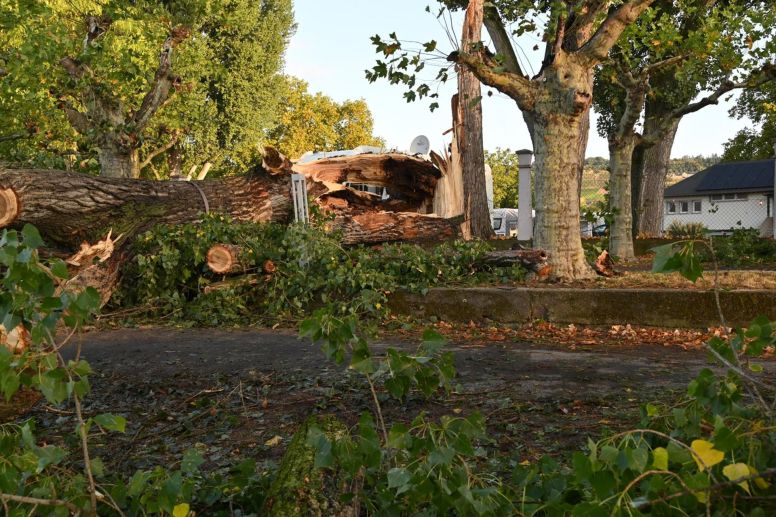 Zum Glück für die Camper stürzte der Baum nicht direkt auf ein Wohnmobil, sondern verursachte den Angaben des Campingplatzbetreibers nur leichte Schäden an dem Fahrzeug.