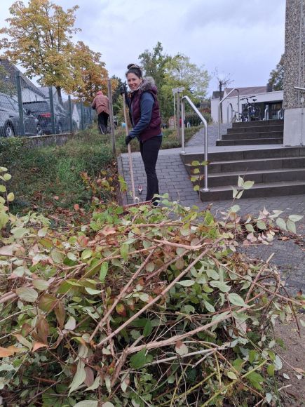 Das Außengelände wurde gepflegt.