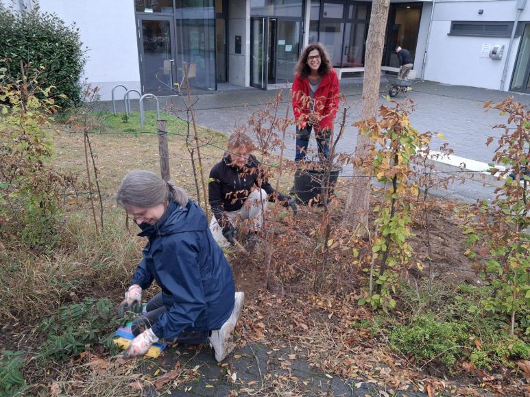 Fotos: TGM Budenheim
Unkraut gejätet und Laub entfernt.