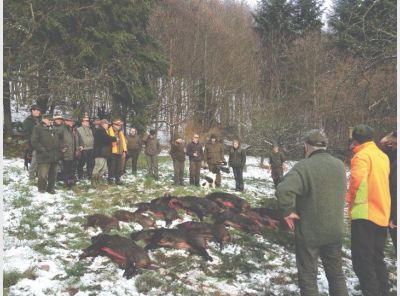51_mg_2012_wildschweinjagd.jpg