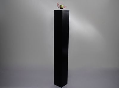 usables_gravity-lifter_72dpi_pm.jpg