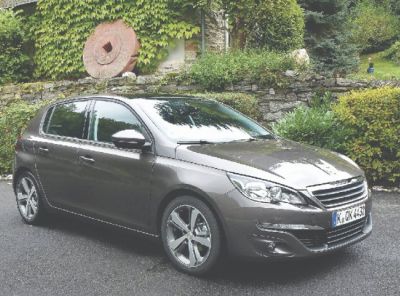 peugeot_aussenP1030064.jpg