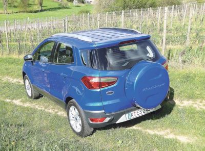 ecosport2.jpg