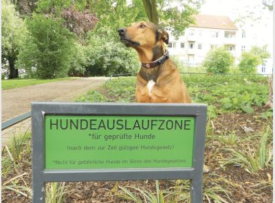 hundeauslaufzone_2_c_vier_pfoten_sarah_ross.jpg