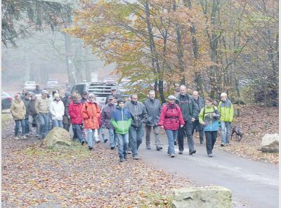 mh_46_2014_ki_waldspaziergang_1.jpg