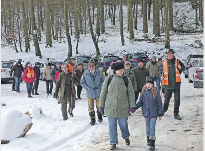 mh_07_2015_ki_waldspaziergang_1.jpg