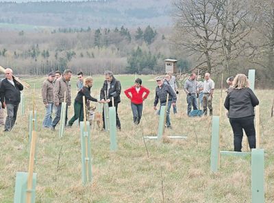 av_15_2015_ru_baumpflanzung.jpg