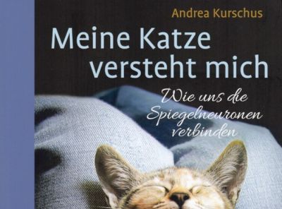 buch_katze.jpg