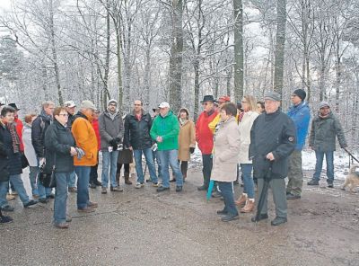 sf-03-2016-oe-bestattungswald1.jpg