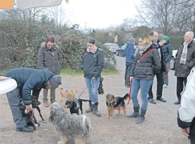 jh_8_2016_el_hundeplatz.jpg