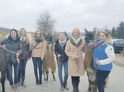 mh_12_2016_ki_weinsteig_1.jpg