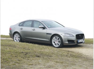 jaguar_aussen_p1040818.jpg