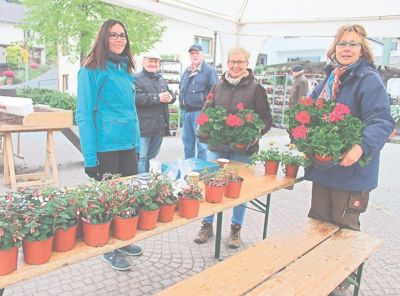 sf-17-2017-ge-stepmarkt1.jpg