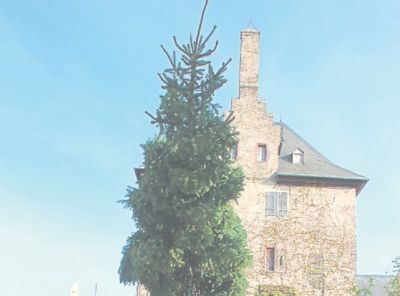 sf-18-2017-el-maibaum1.jpg