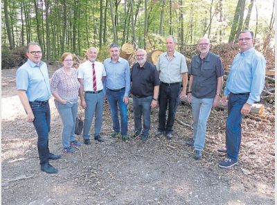 mh_35_2017_rh_waldschaeden_1.jpg