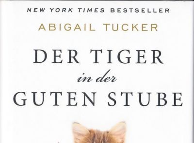 m_buchkatze.jpg