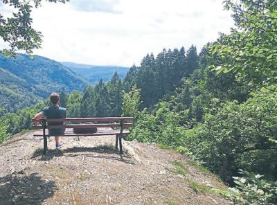 mehrholzblick-beiespenschied.jpg