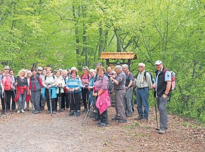 14-18-vereinsportrat-wanderfreunde.jpg