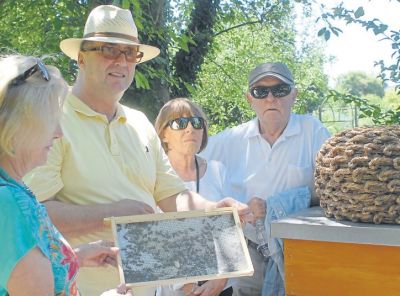 jh_27_2018_ge_bienen._jpg.jpg