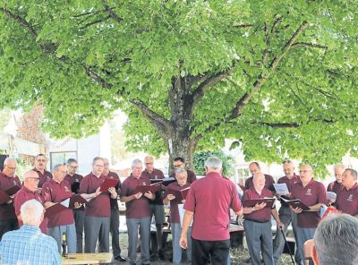 sw_27_2018_lo_strassenfest_1.jpg