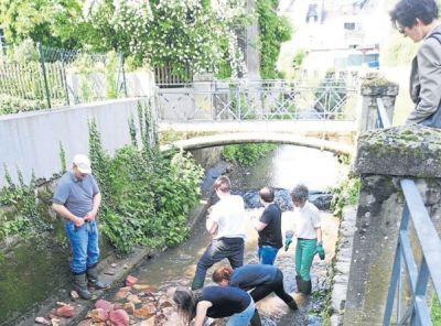 29-18-gewassernachbarschaft.jpg