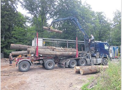 mh_32_2019_rh_holzkartell_1.jpg