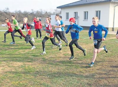 sf-09-2019-sp-crosslauf1.jpg