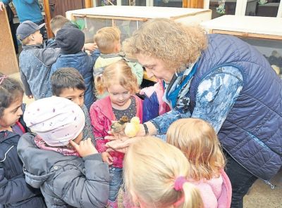 av_15_2019_ru_kueken-fuehlen-sich-wohl--1.jpg