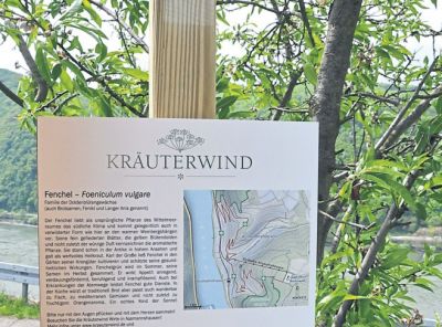 av_18_2019_ru_kraeuterwirte-reagierten-1.jpg