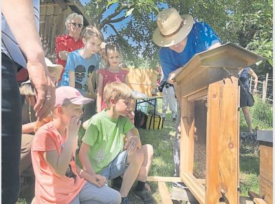 jh_23_2019_ki_bienen.jpg