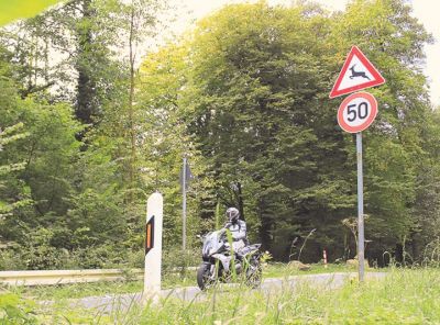 ifz_motorradherbst_2019.jpg