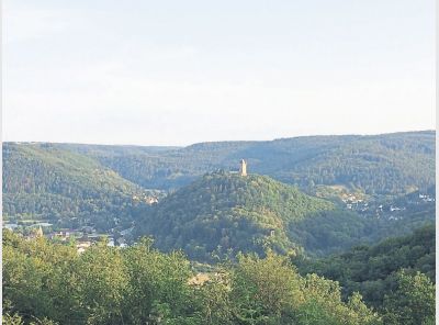wald-foto-ankuendigung-kreis.jpg