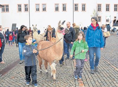 chk_45_2019_rh_kulturkids_1.jpg