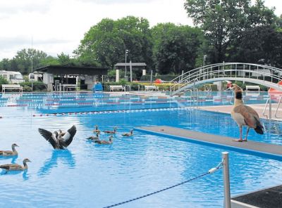 ak_26_2020_rh_freibad_1.jpg