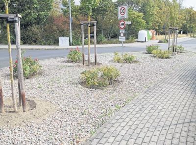 hhs_36_2020_ge_ob_mthal_schottergaerten.jpg