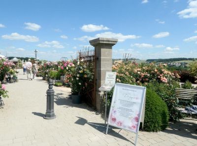 4dd3ba19-1e27-44f0-97e0-10b69c9c1bbc.jpg