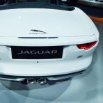 jaguar p1030002