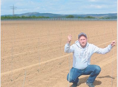 Rheingau Echo Die Besten Seiten Unserer Region